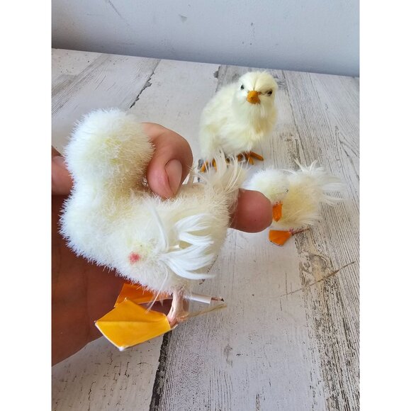 Vintage realistic chick chicken lifelike life-size - Picture 4 of 10